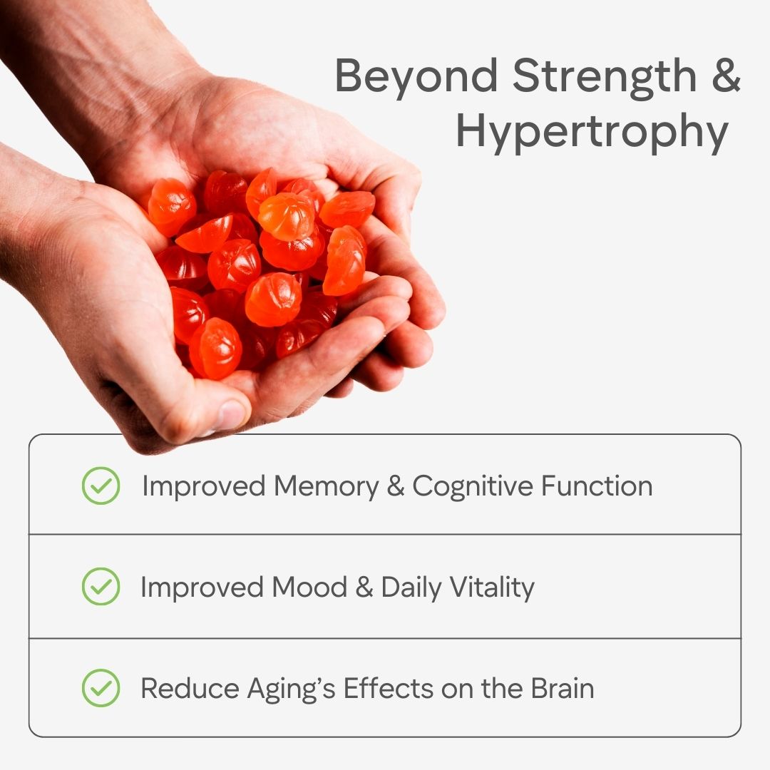 Creatine Monohydrate Gummies - 1 Month Bottle - 90 Gummies